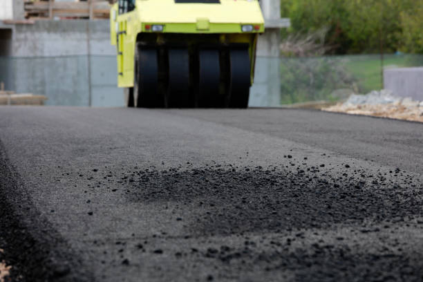 Best Best Driveway Pavers  in Blennerhassett, WV